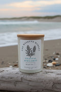 Coastal Bergamot